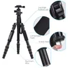 Stativ Zomei Camera Tative Travel Portable Camera TripoD för DSLR Professional Camera Tripod Q100 Q111 Q555 Q666 230809