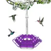 Garden Decorations 30 Holes Hummingbird Feeder Pet Bird Supplies Dispenser Bottle Drinking Cup Bowls Outdoors Courtyard Water Fountain 230810