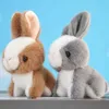 Animais de pelúcia de pelúcia 10cm bonito chaveiro pingente adorável coelho brinquedo de pelúcia totalmente preenchido decorativo boneca de pelúcia chaveiro pingente