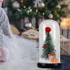 Fleurs décoratives dôme de Noël avec pour enfants garçons filles famille ami cadeaux chambre et décor de chambre à coucher