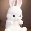 Schleczone pluszowe zwierzęta 1PC 45/55 cm Urocze siedzenie królika pluszowa zabawka miękkie długie uszy pluszowe nadziewane miękkie lalki Girlfriend Diving's Prezent