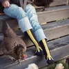 Женские носки осень 3 -й куриный принт забавный мультфильм бедро высокий носок мода милые дамы тонкие ноги косплей ноги