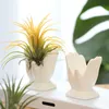 植物セラミックベルガモットフラワーポットフラワーポットアクセサリーベースオフィスデスクトップとホームデコレーションHKD230810