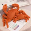 ぬいぐるみのぬいぐるみ動物新しい22/60cm面白い人形への興味深いシミュレーションSea Red LobsterCrabぬいぐるみ短い髪のぬいぐるみおもちゃの誕生日プレゼント