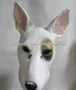 Bull Terrier Mask - Halloween Costume Latex Animal Dog Mask HKD230810