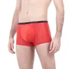 Underpants Ice Silk Men's Underwear Lightweight Mesh Boxer Shorts Hollow Out Men Knickers Male Panties Breathable Briefs Tanga