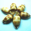 Pendant Necklaces 3pcs Nature Sea Shell Pendants With Golden Plated 30x40mm Women Jewelry Brown Colors Fantastic Parts Free Ships