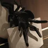 Animais de pelúcia de pelúcia 20x30cm simulação aranha brinquedos de pelúcia real como animal macio de pelúcia horrível para meninos presentes de aniversário da menina