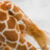 Animaux en peluche 1 pièce de 40CM, Simulation mignonne de girafe, jouets pour enfants, bébés, poupées d'animaux de la vie réelle, décoration de chambre d'enfant, cadeaux d'anniversaire