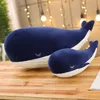 Фаршированные плюшевые животные 25 см мультфильм супер мягкий плюшевый плюшевый морской животный голубой кит мягкая игрушка фаршированная рыба живота Детская день рождения Р230810
