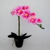 Fleurs décoratives 20 "(50cm) fleur d'orchidée fleur LED bonsaï 7 pièces WarmLED avec 2 pots de batterie 7 pièces boutons tactiles réels