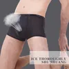 Cuecas de Seda Gelo Roupas íntimas masculinas de malha leve Cuecas boxer vazadas Calcinhas masculinas Cuecas respiráveis Tanga