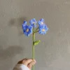 Flores decorativas feitas à mão Simulação de flor Produto acabado feito à mão Crochê Lã Material de bricolage Saco de dia dos namorados Presente de namorada