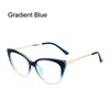 Sunglasses Retro Anti Blue Glasses TR90 Metal Fashion Spring Leg Plain Glass Spectacles Women Men Cat Eye Frame Light Clear