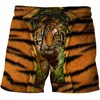 Pantalones cortos para hombre The Swimming Board Retro Seal Lion Washed Fast Dry Heavy Beach