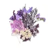 Dekoracyjne kwiaty wysuszone do żywicy naturalne liście liści ziół Zestaw Scrapbooking DIY Art Crafts Epoksyd