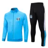 23 24 Gremio Training Wear Suit Suce Jerseys Pepe Suarez Ferreira Fabio Geromel Kannemann VINA VILA REINALDO REINALDO 축구 셔츠 유니폼