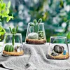 Wazony mikro krajobraz ekologiczny szklany butelka zielona roślina soczysta wazon mięsisty kaktus miniaturowy bonsai terrarium Dekor 230810