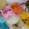 Dekoratif Çiçekler Kurutulmuş Kit Çok Kullanımlı DIY Mum Yapımı Hydrengea Chrysanthemum Gypsophila Yaprakları Kabartmalı Noel Malzemeleri Malzeme