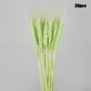 Decorative Flowers 30PCS Dried Small Pampas Grass Phragmites Communis Wedding Flower Bunch 70cm Tall For Home Decor C44