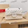 23CM Women Double Flap Crossbody Designer Bag Caviar Cowhide Quilted Gold Silver Adjustable Chain Classic Shoulder Bag Outdoor Luxury Handbag Coin Purse Birkin