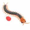 Electricrc Animals Remoter Control Centipede Toy Rechargable Electric Infrared RC Scolopendraシミュレーション偽のCreepycrawly Chilopod for Kids230810