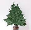 Fleurs décoratives 10pcs 25-30 cm de longueur Branche de feuille en cuir de fleur préservée pour arrangement Mariage de Noël Fête de Noël Décoration du jardin