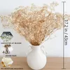 Fiori decorativi babys secchi al respiro bouquet naturale vere gypsophila rami per arredamento boho floreale ghirlanda di nozze asciutto