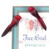 Dekoracje ogrodowe kreatywne pianki dom na zewnątrz ozdoba dekoracji ślubnej 1pc pióro sztuczne papugi naśladowanie ptak