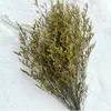 Decorative Flowers Fresh Preserved Lover Grass Dried Natural Bunch Real Eternal Dry Flower Living Room Wedding Marriage Decoration