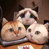 Stuffed Plush Animals Cartoon Cat Plush Toys Summer Blanket Stuffed Plush Cushion Animal Children Gifts R230811