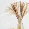 Decorative Flowers Natural Dry Pampas Grass Dried Bouquet Wedding Arrangement Decorations Spring Boho Tail Flower Home Decor