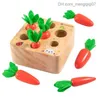 Pull Toys Montessori 1-Year Toys Baby Carrot Set Game Children's Wooden Toys Shape Sorting Matching Educational Children's Toys Z230814