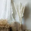 Decorative Flowers Natural Dried Pampas Tail Grass Color Fluffy Ornaments Essential Bleached Bouquet Vintage Boho Style Home Decor