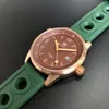 Zegarek zegarek SD1949S Steldive Brand NH35 Automatyczny ruch C3 Zielone świetliste brązowe tarcze 42 mm nurkowe zegar ze skórzanym paskiem