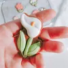 Bakning formar 3D Flower Cookie präglad Cutter Mold Tulip Happy Mother Day Fondant Biscuit Cake Decorating Kitchen Tools