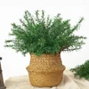 Decorative Flowers Simulated Artificial Plastic Asparagus Rosemary Green Plants Indoor Household Decoration Props