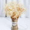 Fiori decorativi babys secchi al respiro bouquet naturale vere gypsophila rami per arredamento boho floreale ghirlanda di nozze asciutto