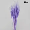 Decorative Flowers 30PCS Dried Small Pampas Grass Phragmites Communis Wedding Flower Bunch 70cm Tall For Home Decor C44