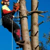 Picchi di protezione della roccia set chiodi da arrampicata per la corda per cordino regolabile in campeggio Strumento di caccia alla sopravvivenza con accessorio per cinture di sicurezza HKD230811