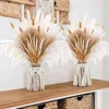 Dekorativa blommor 80st Pampas Grass Natural Dried Fluffy Bouquet Pampa Home Decor Mariage Beauty Wedding Party Ornaments