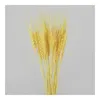 Decorative Flowers 30PCS Dried Small Pampas Grass Phragmites Communis Wedding Flower Bunch 70cm Tall For Home Decor C44