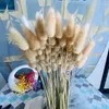 Decorative Flowers Lagurus Ovatus Natural Pampas Grass Dried Flower Flores Decorativas Tail Bouquet Home Decor Dekoration