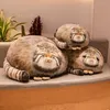 Gefüllte Plüschtiere Super weiche Katze Ancient Ware Cat Plush Toy Doll Kissen Geburtstagsgeschenk R230810
