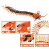 Electricrc Animals Remoter Control Centipede Toy Rechargable Electric Infrared RC Scolopendraシミュレーション偽のCreepycrawly Chilopod for Kids230810