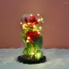 Fleurs décoratives cadeau de vacances Valentin de la Saint-Valentin Immortal Flower Simulation Rose Wedding Home Decoration For Women to Confesting Red Office