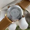 Zegarek zegarek SD1949S Steldive Brand NH35 Automatyczny ruch C3 Zielone świetliste brązowe tarcze 42 mm nurkowe zegar ze skórzanym paskiem