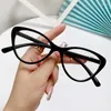 Sunglasses Cat Eye Glasses Feminine Temperament Radiation Resistant Flat Lenses Ultra Light Plain Anti Blue Anteojos