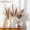 Fleurs décoratives Pampas séchés naturels Herme Home Déco Reed phragmites communis for Wedding Flower Arrangements Plume Decor