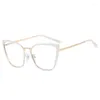 Okulary przeciwsłoneczne vintag metalowe okulary motylowe dla kobiet anty-blasku lekkie luksusowe modne szklanki Komputer optyczne okulary rama
